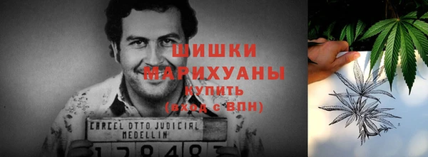 спиды Богородицк