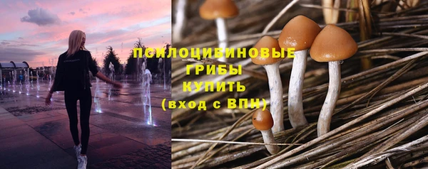 а пвп мука Богородск