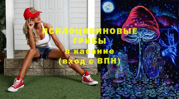 а пвп мука Богородск