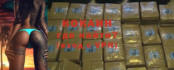 спиды Богородицк