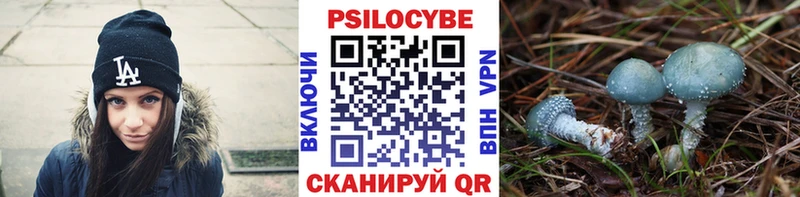 Псилоцибиновые грибы MAGIC MUSHROOMS  даркнет какой сайт  Южа 