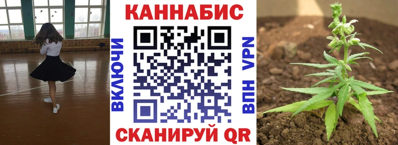 Конопля MAZAR  где можно купить наркотик  Южа 